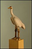 Whooping Crane