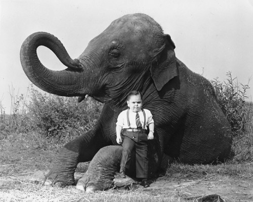 A Little Man with a Big Elephant